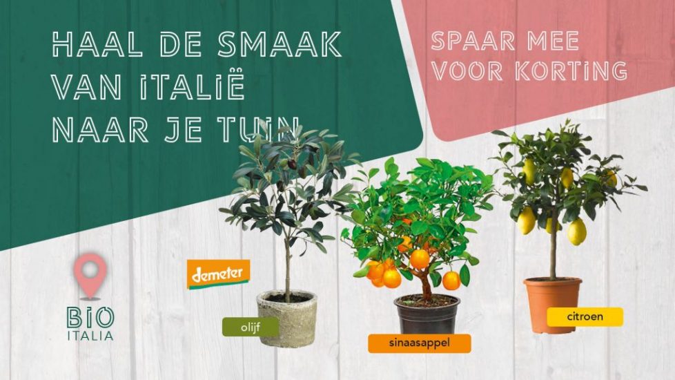 narrowcasting-spaaractie-2 narrowcasting-spaaractie-2