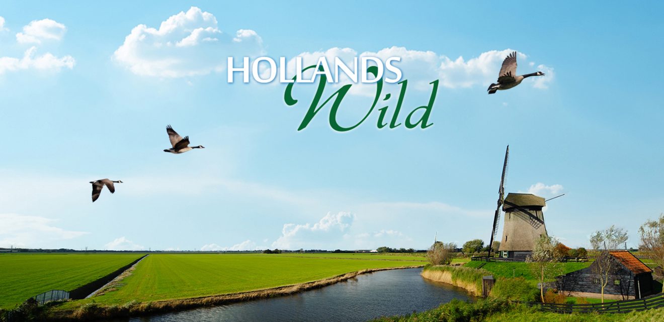Echt wild van Hollands Wild