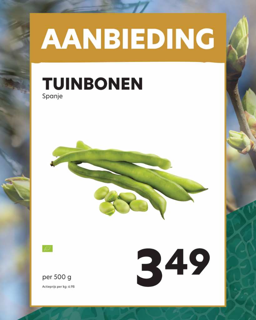 Tuinbonen