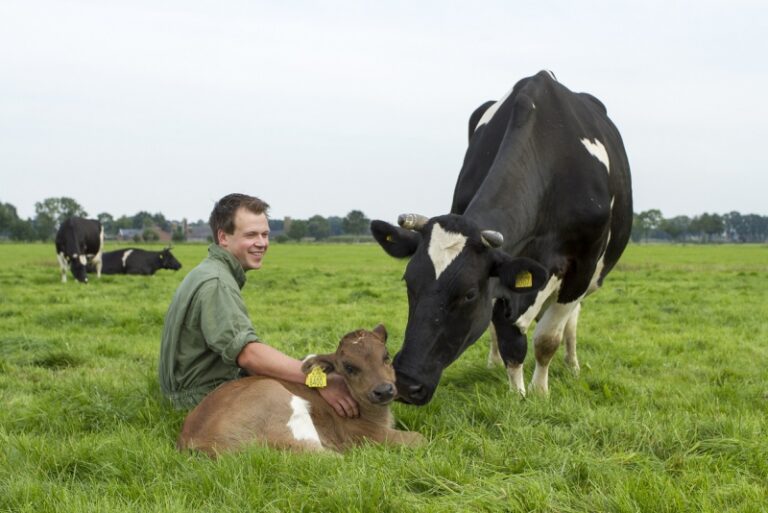 Over koetjes & kalfjes - Biowinkel Gouda