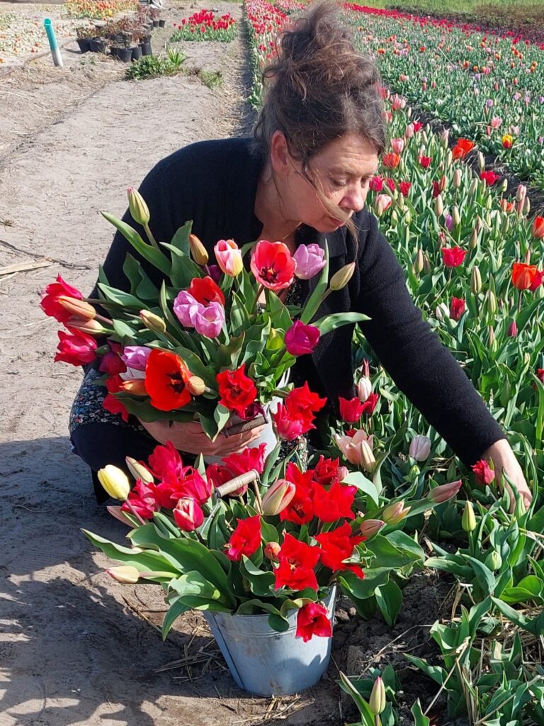 Jolande in de tuin plukt een mooi boeket tulpen