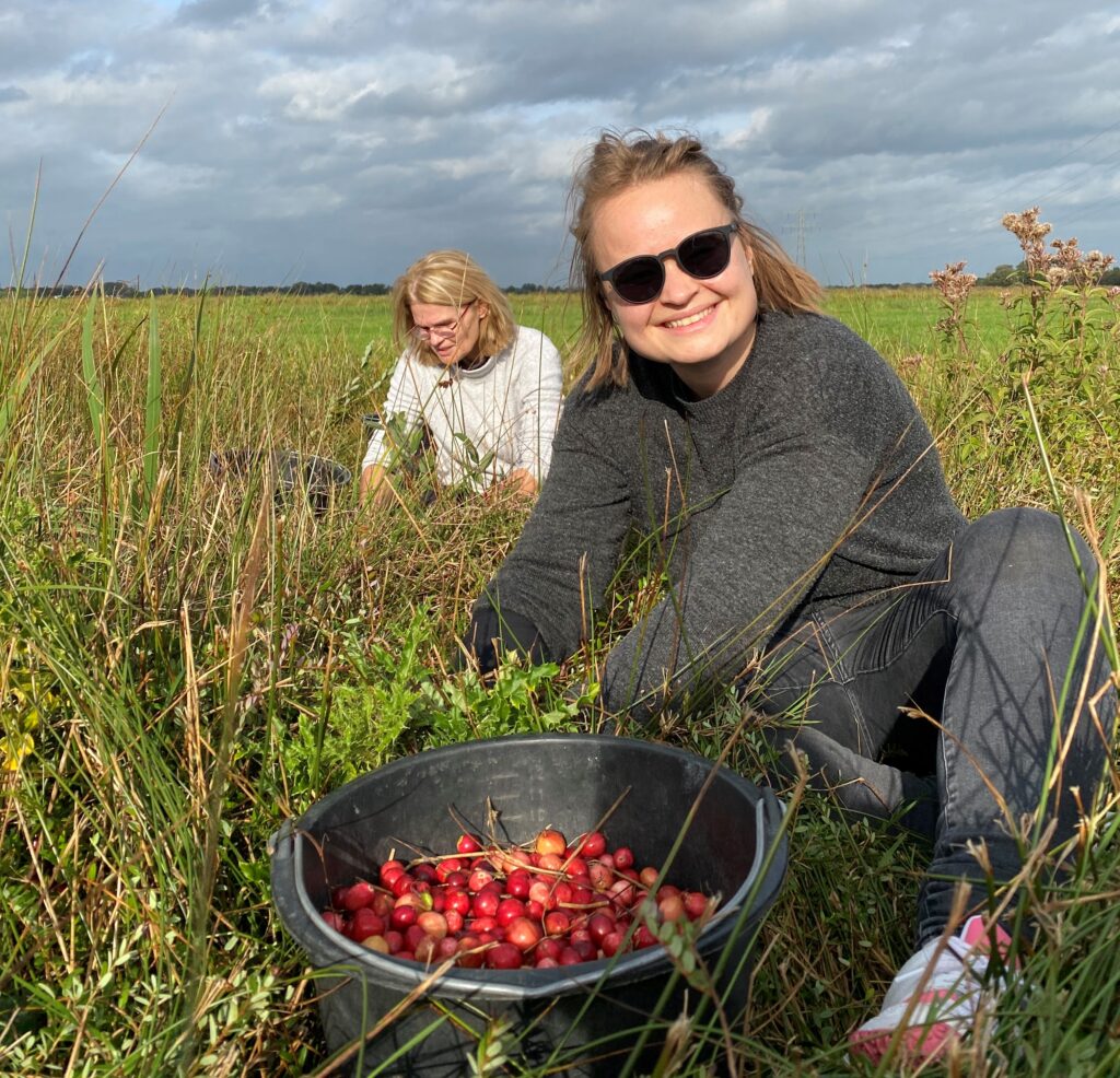 Willemijn en Céline in het veld, plukken cranberries.