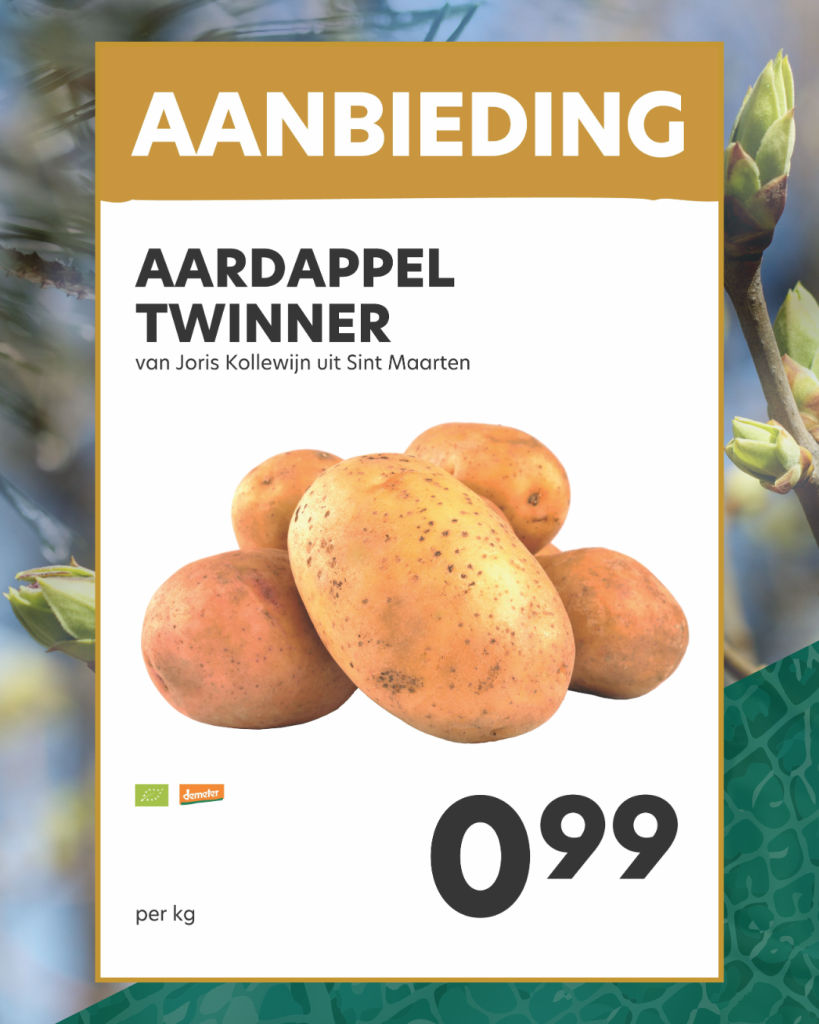 Aardappel