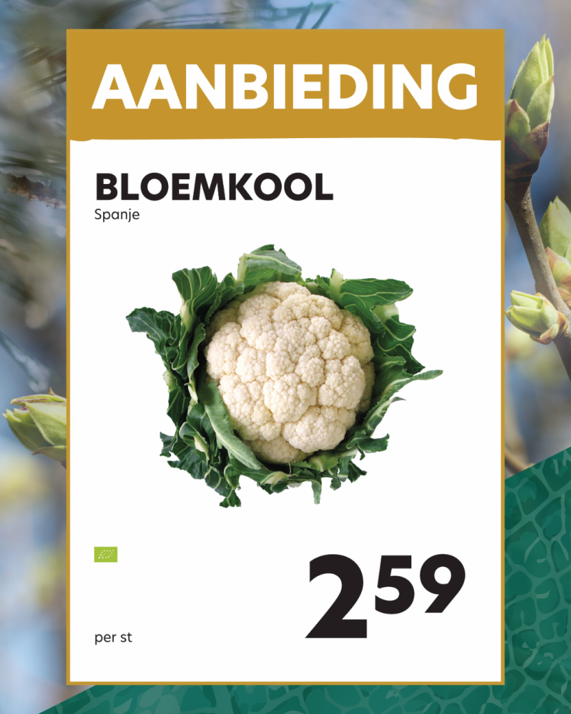 Bloemkool