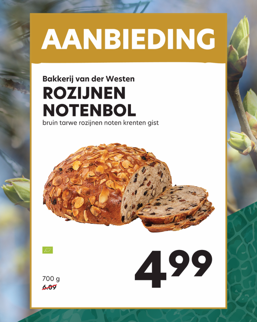 Rozijnen-notenbol