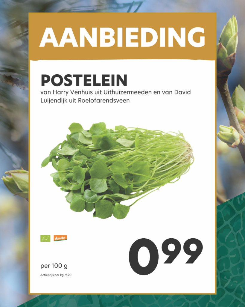 Postelein