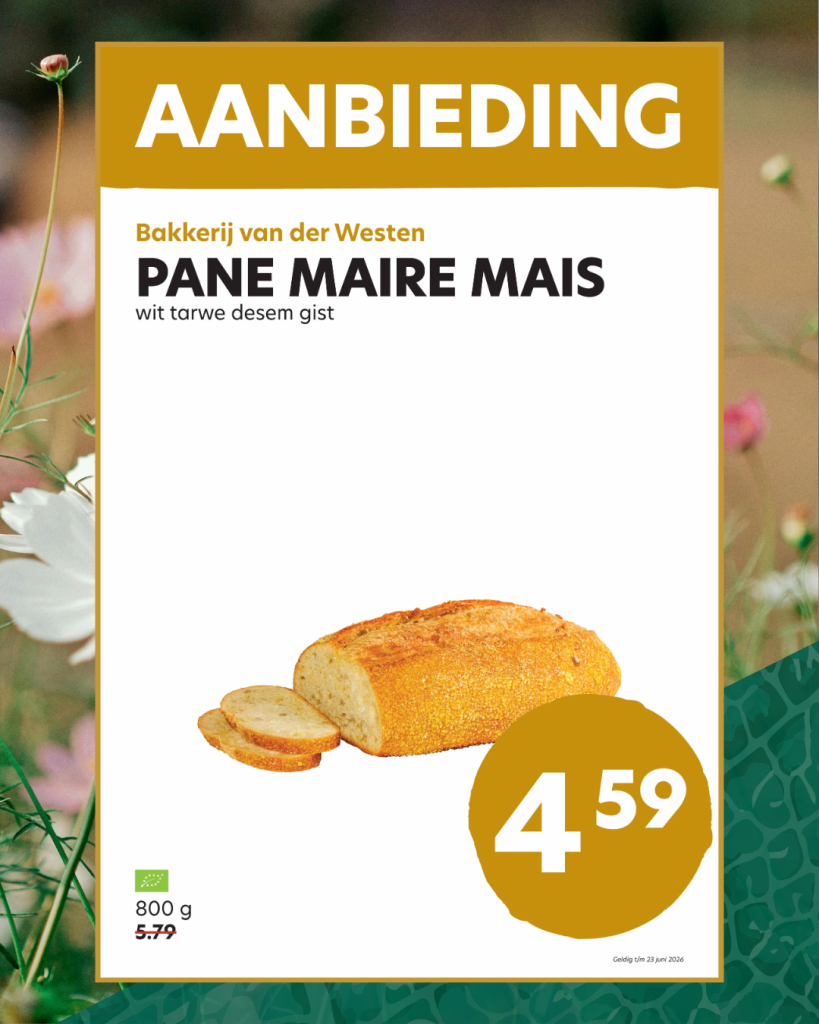 Pane maire mais