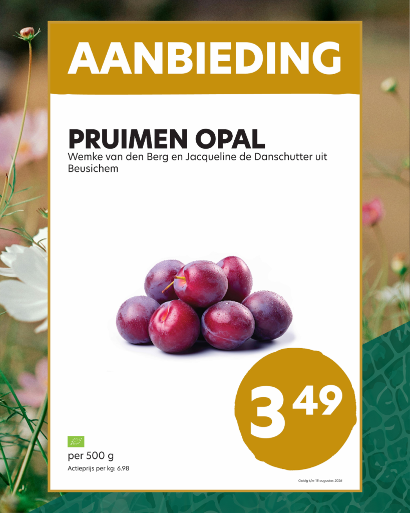 Pruimen